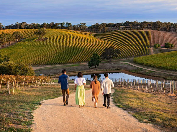 friends walking the paved path along Longview Vineyard