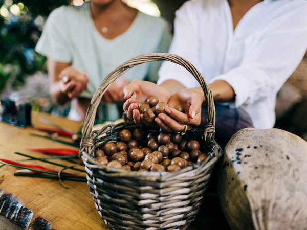 a basket filled with macadamias