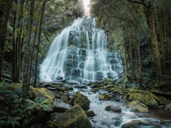 a closer look at the Nelson Falls, Tas