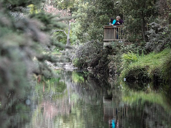 hikers stopping at a viewing platform along the platypus walk in geeveston