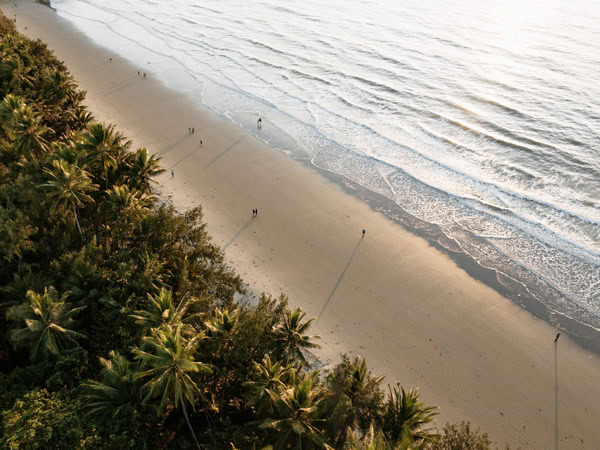 an aerial view of a beach in Port Douglas