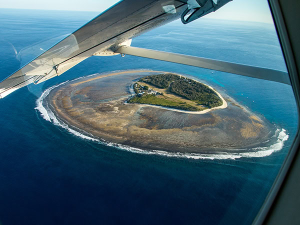 Lady Elliot Island Views