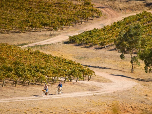 biking around Clare Valley's Riesling Trail