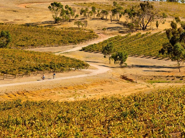 a scenic landscape of Clare Valley's Riesling Trail