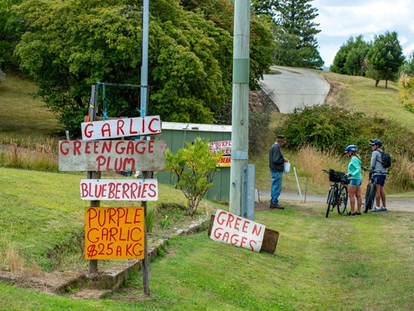 cyclists stopping by a roadside stall