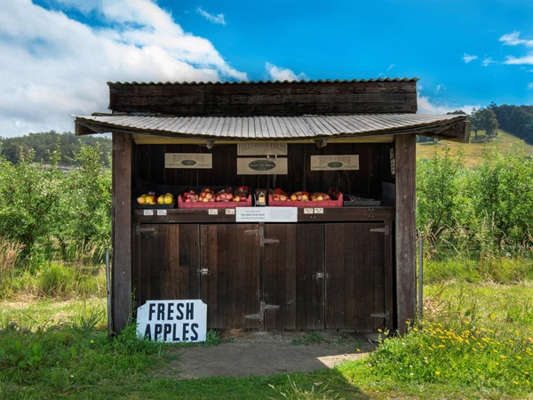 a roadside stall selling apples