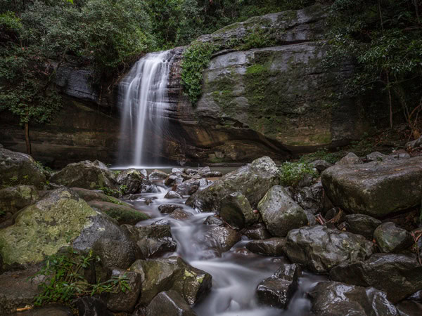 a small cascade pouring down the rocks at Serenity Falls, Qld