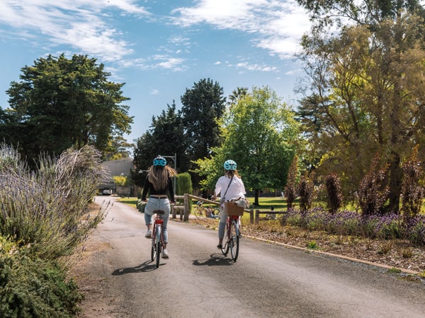 two cyclists strolling along Sevenhill Cellars