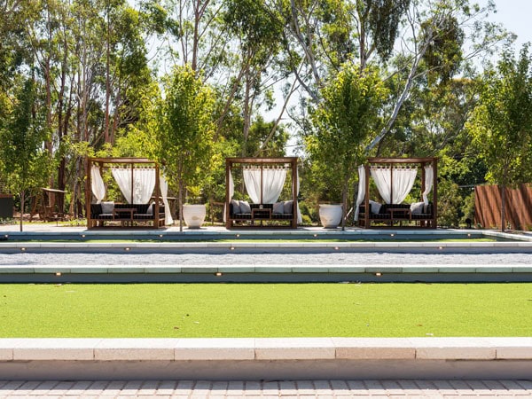 lush greenery at Sidewood Restaurant