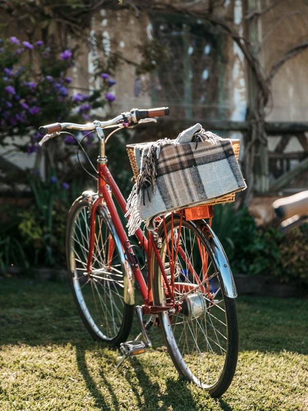a bicycle at Skillogalee Winery