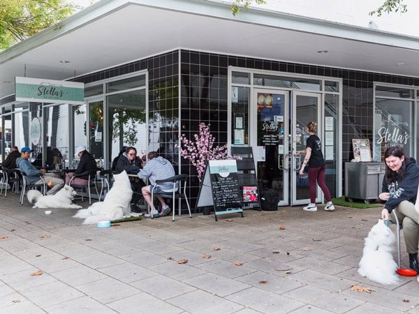 people sitting outside Stellas by the Lake cafe with their dogs