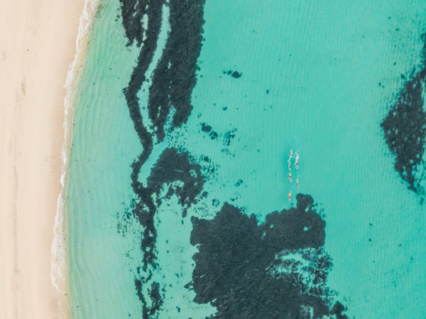 an aerial view of turquoise waters in Gnarabup Beach in WA’s Margaret River region