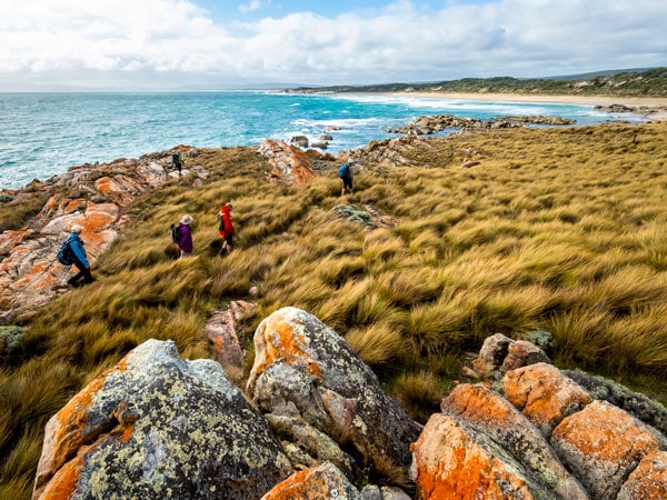 hikers walking along a grassy hilltop on Flinders Island