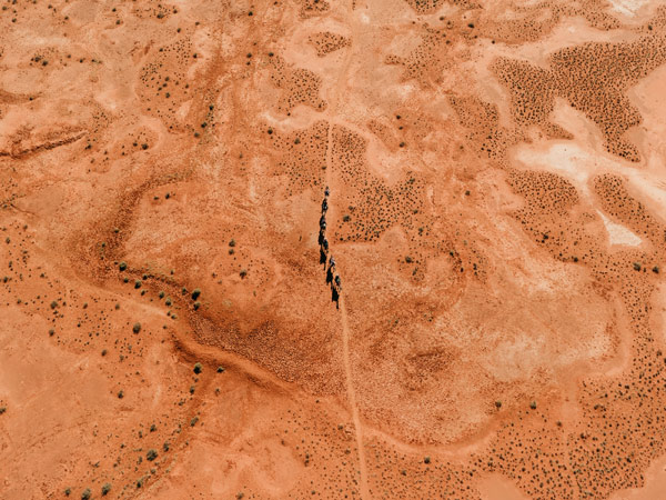 the rust-coloured soil at Alice Springs
