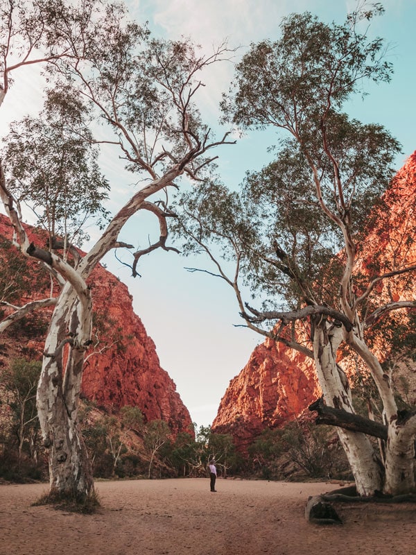 a Simpsons Gap Discovery Walk at West MacDonnell Ranges/Tjoritja