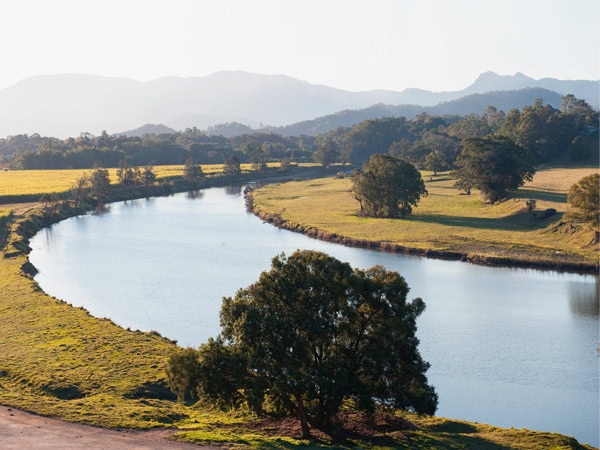 a scenic aerial view of Tweed River