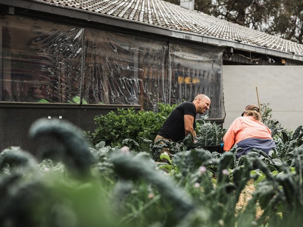 two people harvesting local produce at the backyard of Two Before Ten cafe