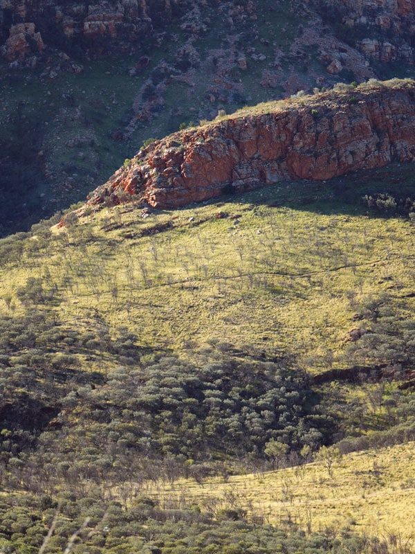 red and green landscape at West MacDonnell Ranges