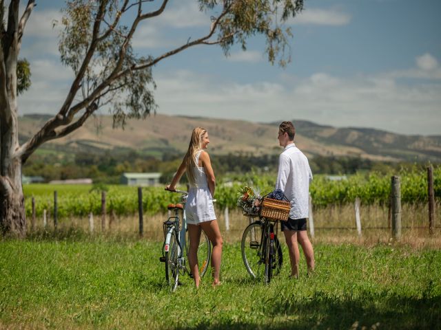 Coast to Vines Rail Trail