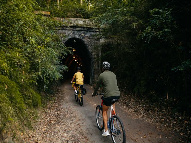 cycling through Fernleigh Track