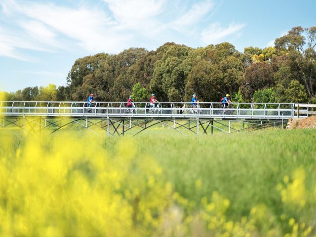 Murray to Mountains Rail Trail