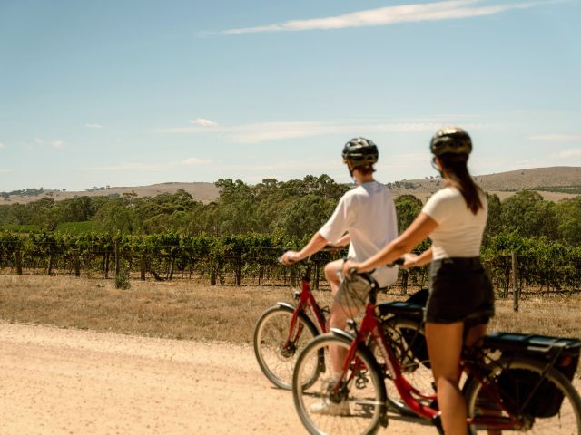 cycling the Clare Valley Riesling Trail