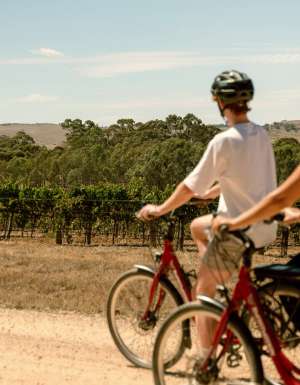 cycling the Clare Valley Riesling Trail