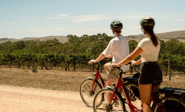 cycling the Clare Valley Riesling Trail