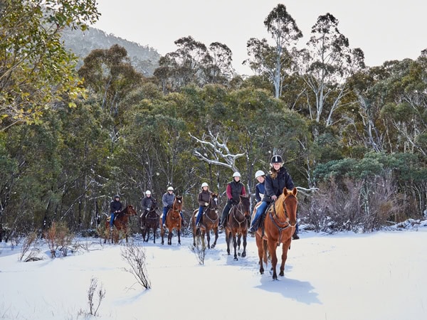 Thredbo Valley Horse Riding in NSW