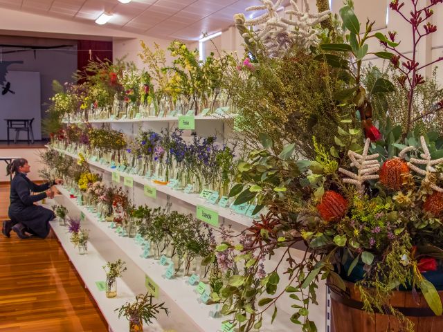 Ravensthorpe Wildflower Show in Western Australia