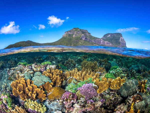 colourful coral gradens surrounding Lord Howe Island with views ofMount Lidgbird and Mount Gower
