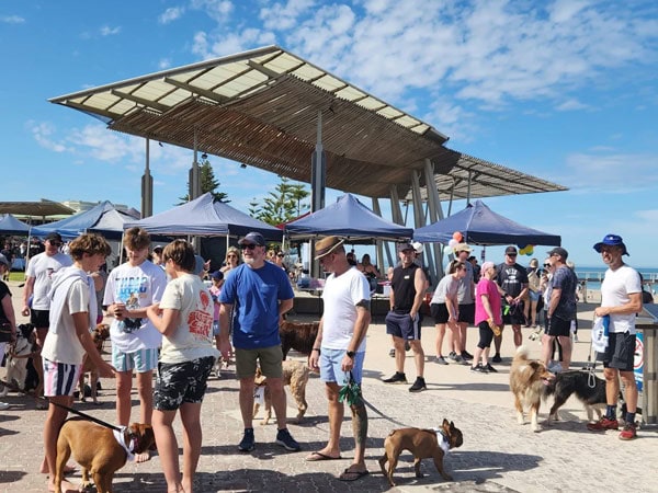 people tagging along their dogs at Henley Square Markets