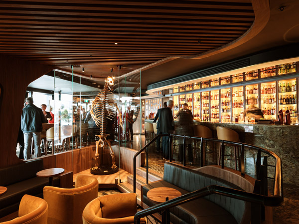 the Evolve Spirits Bar, Hobart