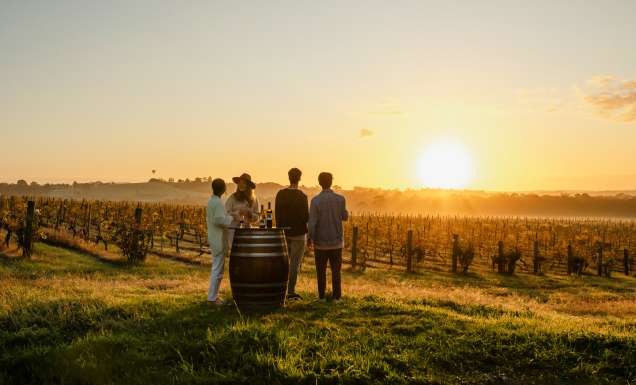 friends enjoying drinks in Hope Estate at sunset