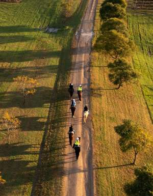 an aerial view of Hunter Valley Horses, Pokolbin