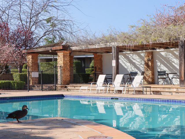 the pool at Mercure Resort Hunter Valley Gardens