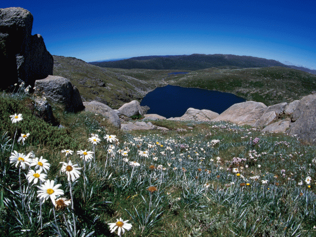 Kosciuszko National Park