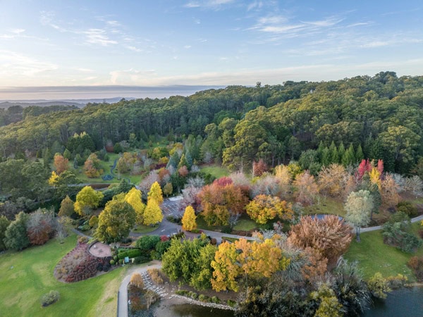 an aerial view of Mount Lofty Botanic Gardens