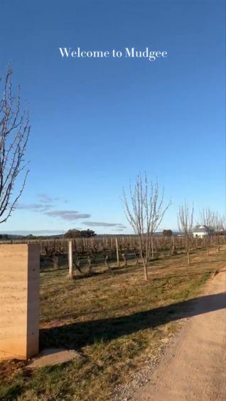 Mudgee’s wineries