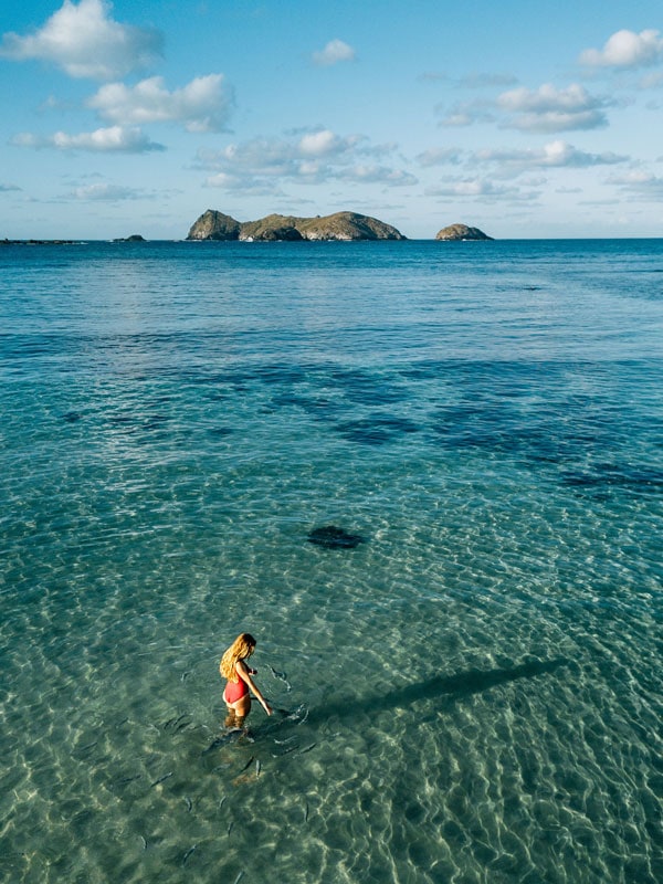 a woman fish feeding at Ned's Beach, Lord Howe Island