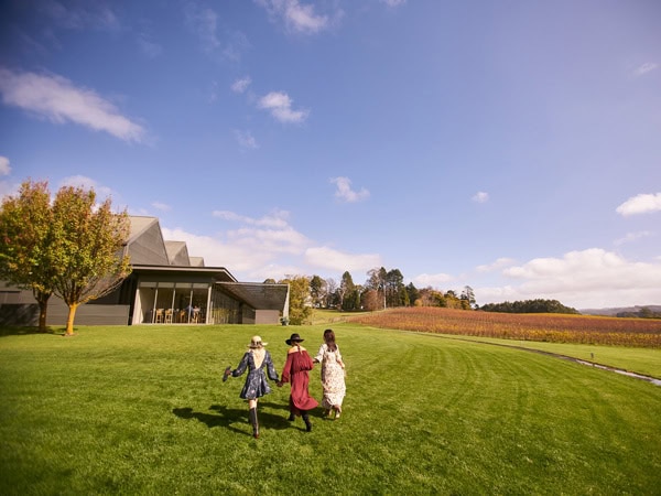 a group of women exploring Shaw + Smith, Adelaide Hills