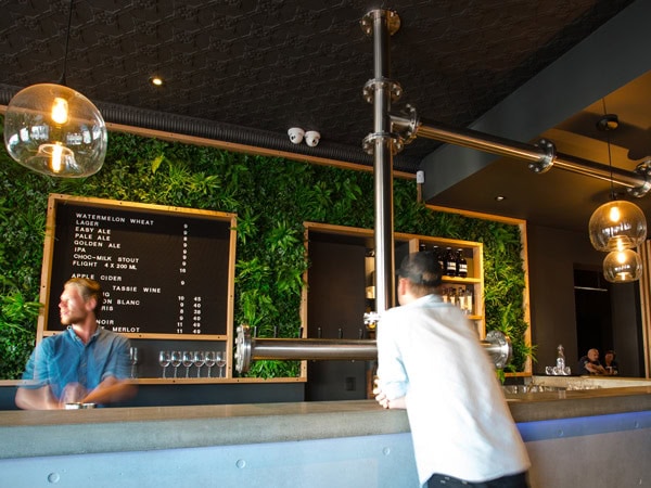 a man ordering drinks at the counter of T-Bone Brewing Co.