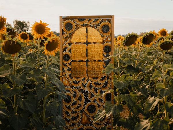 a sunflower-emblazoned door at The Paddock, WA