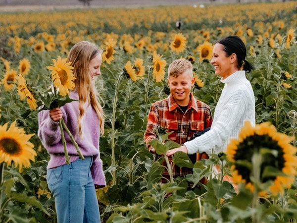 a family enjoying sunflower-picking at Warraba Sunflowers, Qld