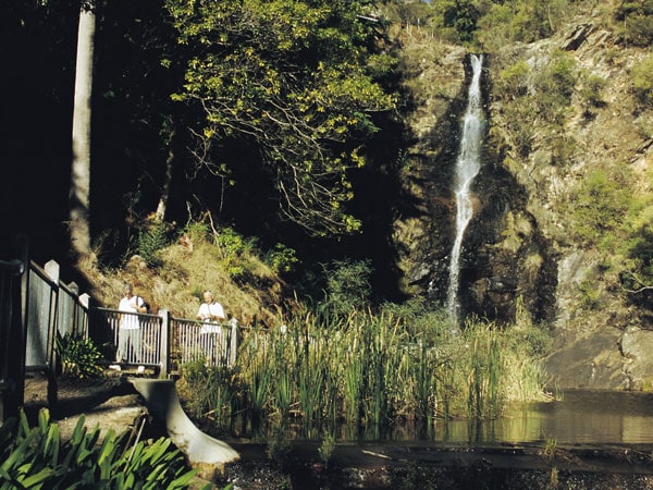 the Waterfall Gully near Mt Lofty summit