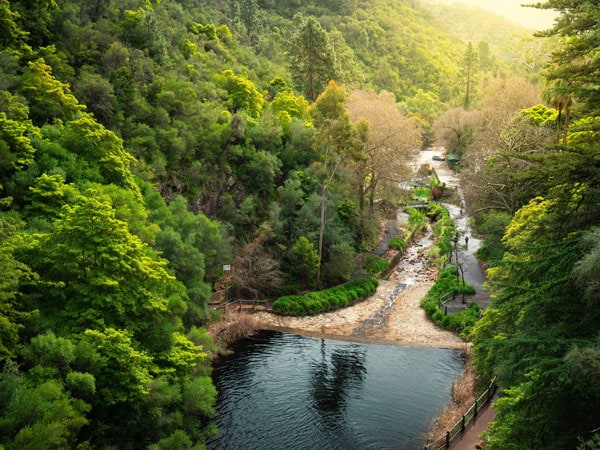 the Waterfall Gully in Adelaide Hills
