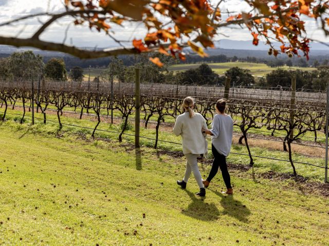 Scarborough Wine Co., Pokolbin