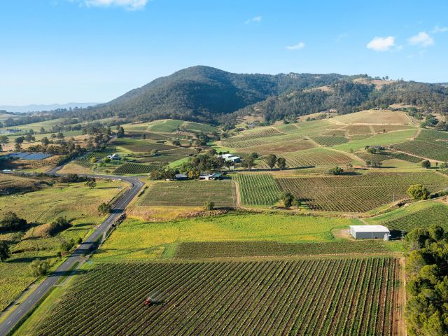 Usher Tinkler Wines, Pokolbin