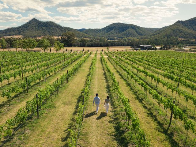 Krinklewood Winery, Broke