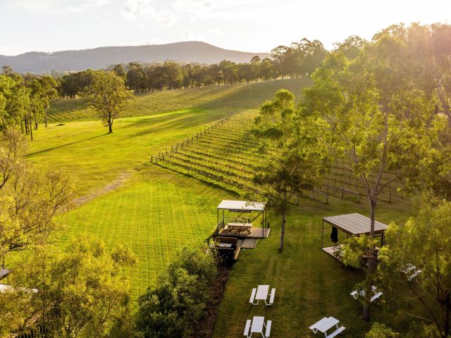 Saddler's Creek Wines, Pokolbin